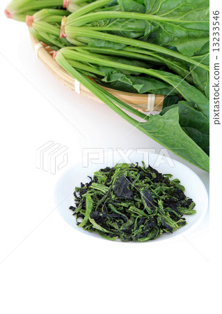 幹菠菜 13233546