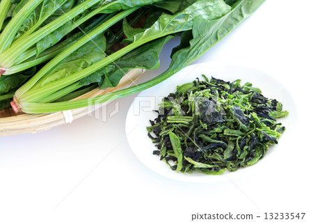 幹菠菜 13233547