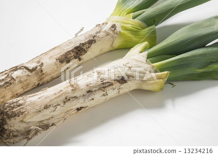 A green onion A green onion 13234216