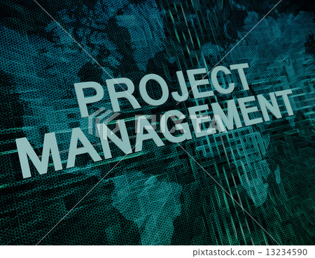 Project Management 13234590