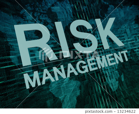 Risk Management 13234622