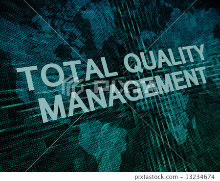 Total Quality Management 13234674