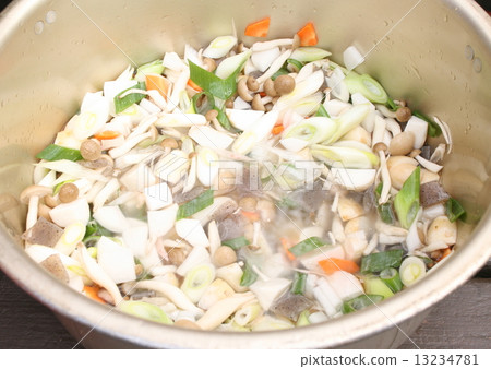 Stew 13234781
