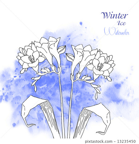 Background with watercolors and flowers-05 Background with watercolors and flowers-05 13235450