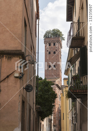 Guinigi tower in Lucca, Italy, with trees on the top Guinigi tower in Lucca, Italy, with trees on the top 13235697