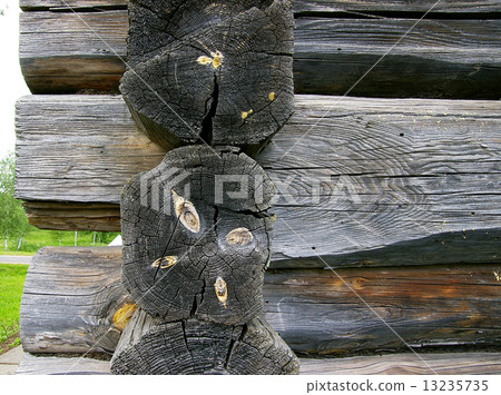 Structure of a tree 13235735