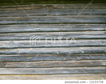 Structure of a tree 13235736