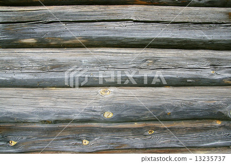 Structure of a tree. 13235737