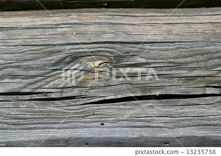 Structure of a tree. 13235738