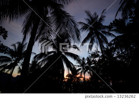 THAILAND KRABI THAILAND KRABI 13236262
