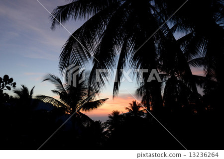 THAILAND KRABI THAILAND KRABI 13236264