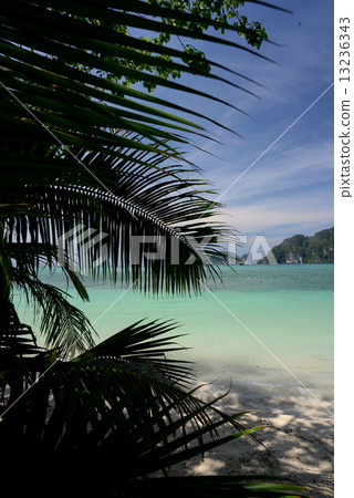 THAILAND KRABI 13236343