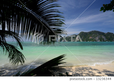 THAILAND KRABI THAILAND KRABI 13236344