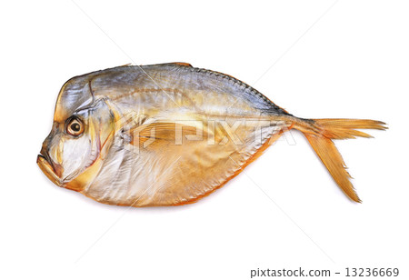 Moonfish Moonfish 13236669