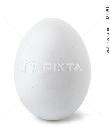 Egg Egg 13236912