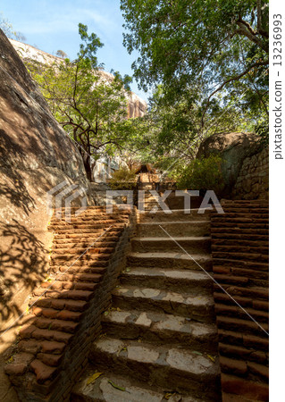 Stairs and ruins of Sigiriya Lion's rock fortress 13236993