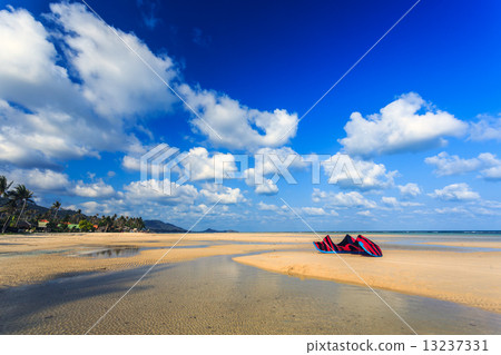 Kite on the beach Kite on the beach 13237331