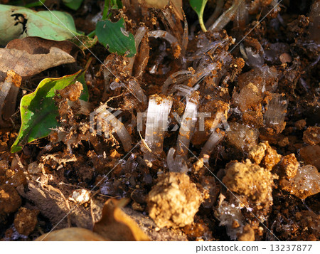 frost pillar frost pillar 13237877