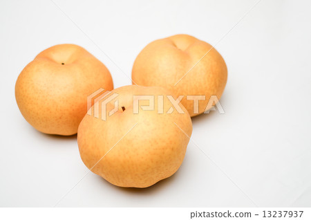 甜美可口的大梨Atago梨果實圖片素材 13237937