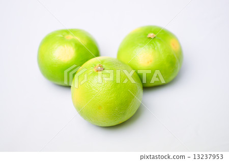 Delicious citrus orobranco fruit picture material 13237953