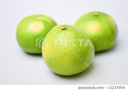 Delicious citrus orobranco fruit picture material 13237954