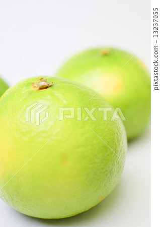 Delicious citrus orobranco fruit picture material 13237955