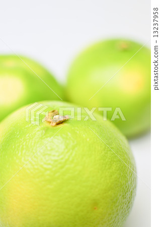 Delicious citrus orobranco fruit picture material 13237958