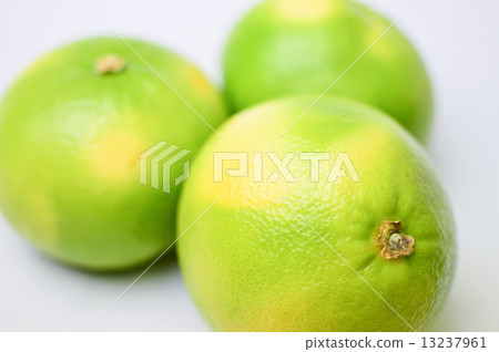 Delicious citrus orobranco fruit picture material 13237961