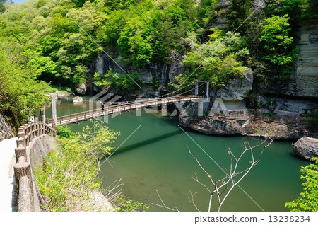 掛在新鮮的綠色塔 掛在新鮮的綠色塔 13238234