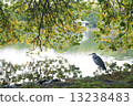 在Yamadakeke公園的Ao-sashi 13238483