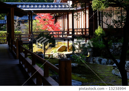 Daimyoji的秋天 Daimyoji的秋天 13238994