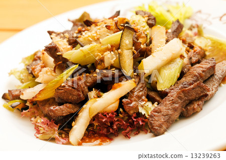 beef with vegetables 13239263