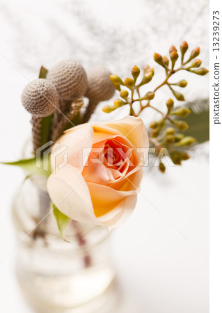 nice flowers 13239273