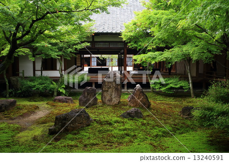 Daitokuji in the fresh green 13240591