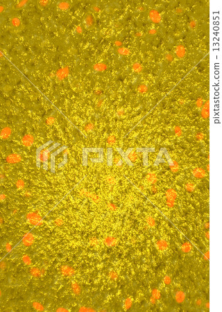 Gold Background 13240851