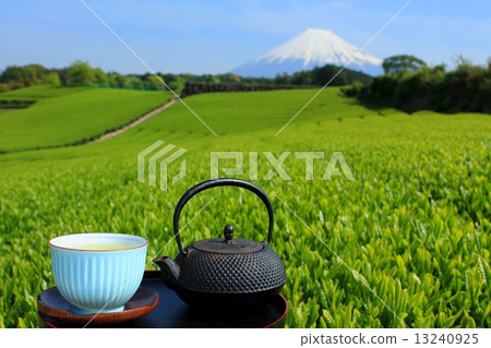 New green tea fields and new tea, and Mt. Fuji New green tea fields and new tea, and Mt. Fuji 13240925