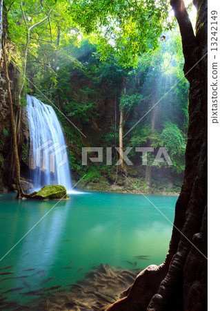 Erawan Waterfall, Kanchanaburi, Thailand 13242149