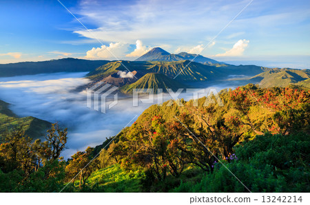 Bromo vocalno at sunrise, East Java, , Indonesia Bromo vocalno at sunrise, East Java, , Indonesia 13242214