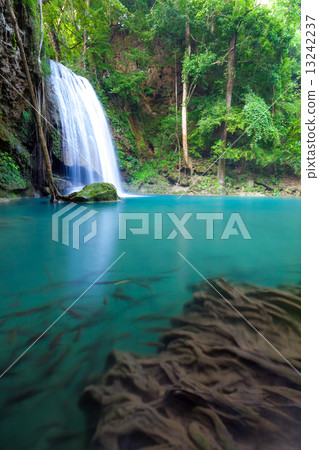 Erawan Waterfall, Kanchanaburi, Thailand 13242237