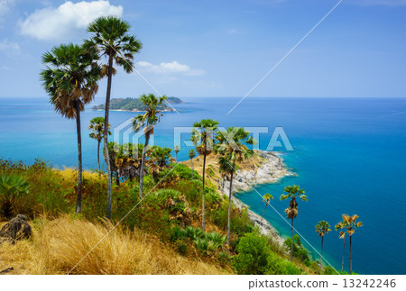 Phromthep cape at sunset  Phuket, Thailand 13242246