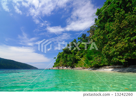 Adang island, Lipe, Thailand 13242260