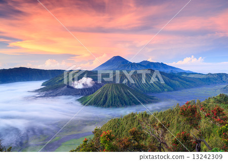 Bromo vocalno at sunrise, East Java, , Indonesia 13242309