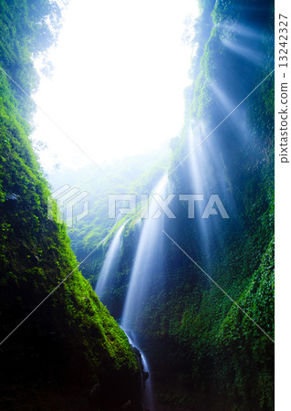 Madakaripura  Waterfall, East Java, Indonesia 13242327
