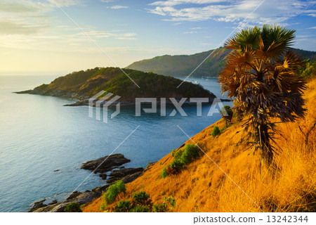Phromthep cape at sunset  Phuket, Thailand 13242344