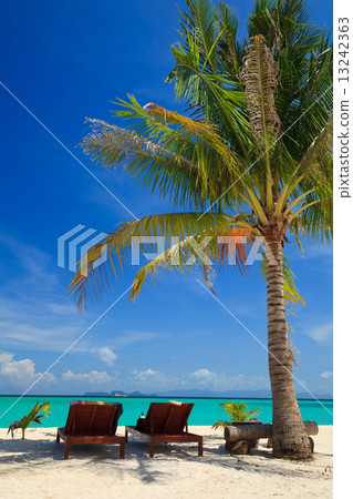 Beach chairs under a palm tree on Lipe island, Thailand 13242363