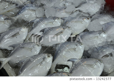 ASIA THAILAND PHUKET MARKT 13242377