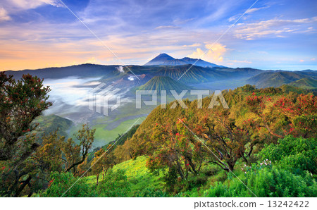 Bromo vocalno at sunrise, East Java, , Indonesia 13242422