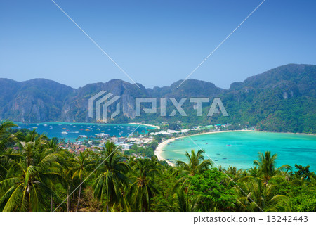 Phi phi island, Krabi, Southern of Thailand 13242443