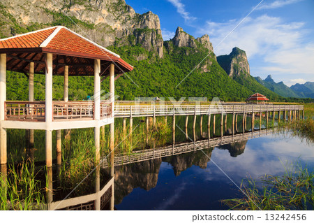 Wooden Bridge in lotus lake at khao sam roi yod national park, t 13242456