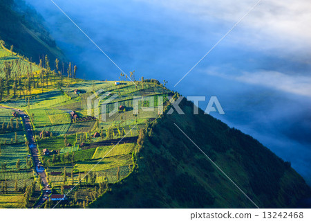 Village and Cliff at Bromo Volcano in Tengger Semeru, Java, Indo 13242468